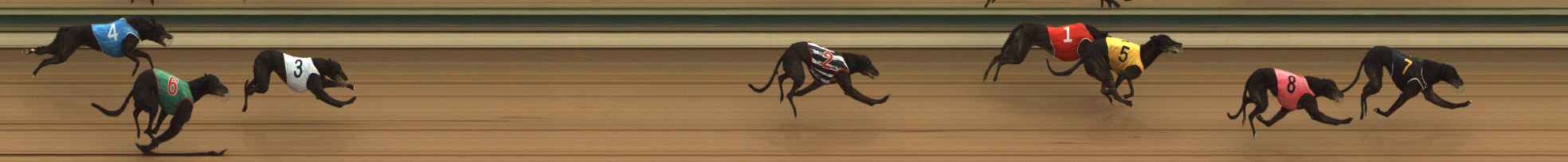 Photo finish for The Meadows Race 2