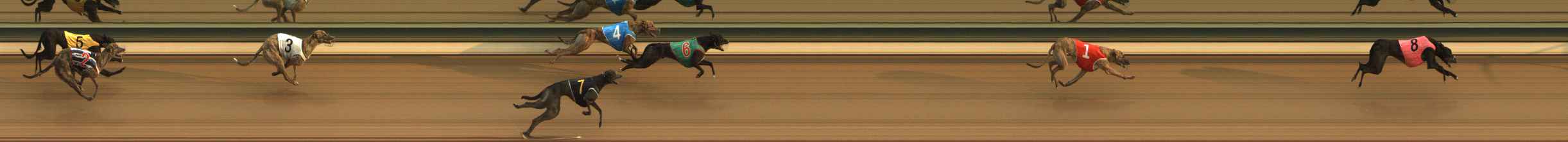 Photo finish for The Meadows Race 3