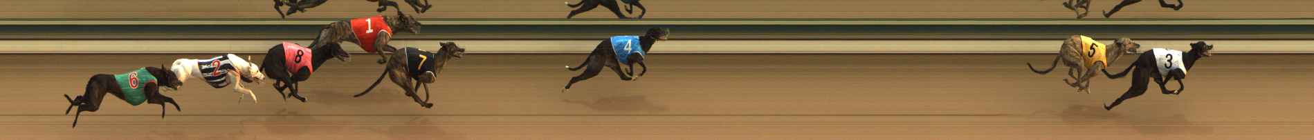 Photo finish for The Meadows Race 4