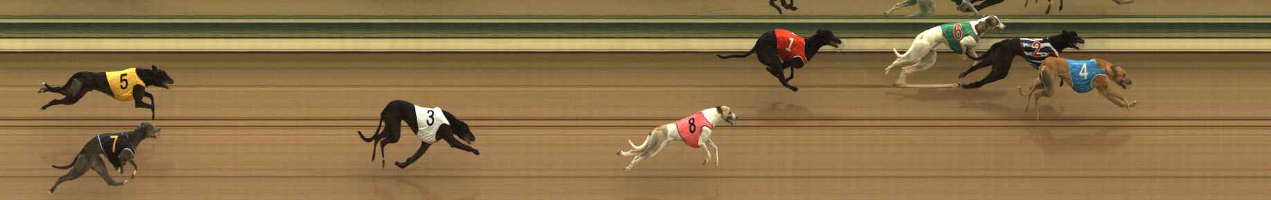 Photo finish for The Meadows Race 5