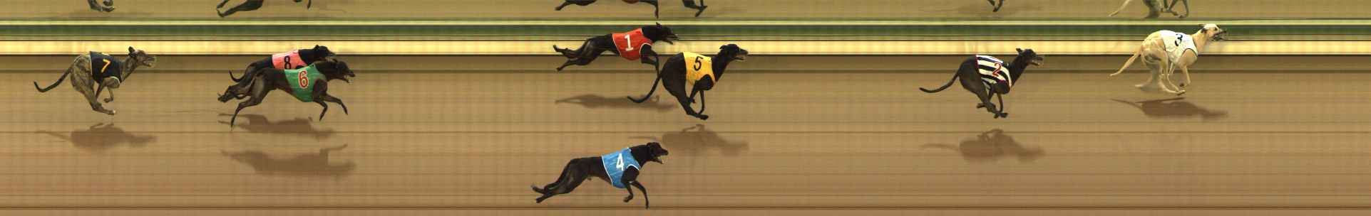 Photo finish for The Meadows Race 6