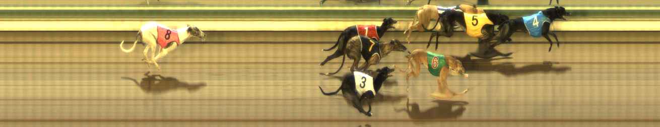 Photo finish for The Meadows Race 7