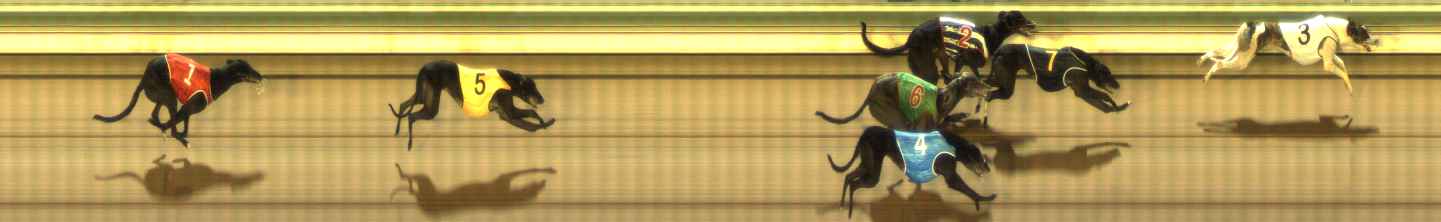 Photo finish for The Meadows Race 8