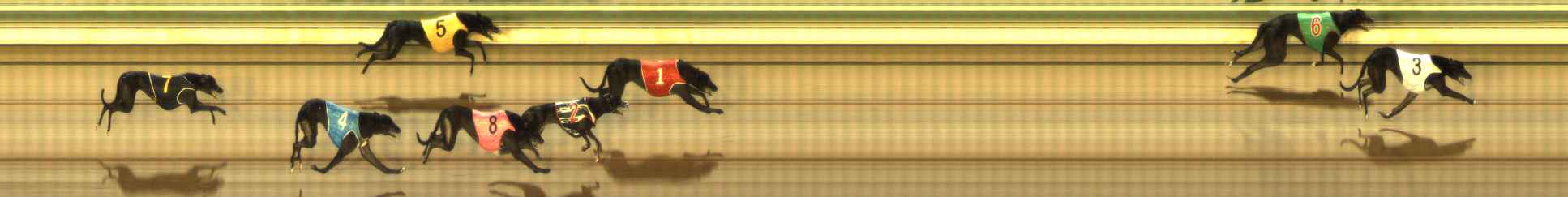 Photo finish for The Meadows Race 9
