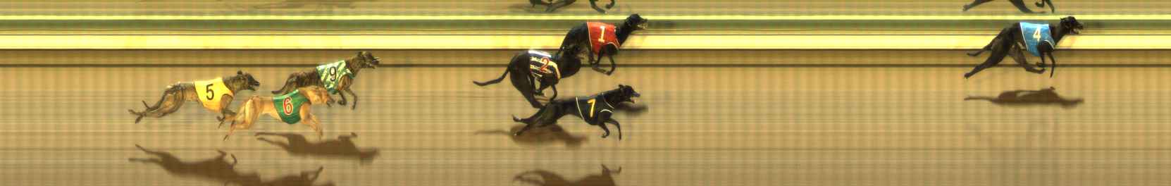 Photo finish for The Meadows Race 10