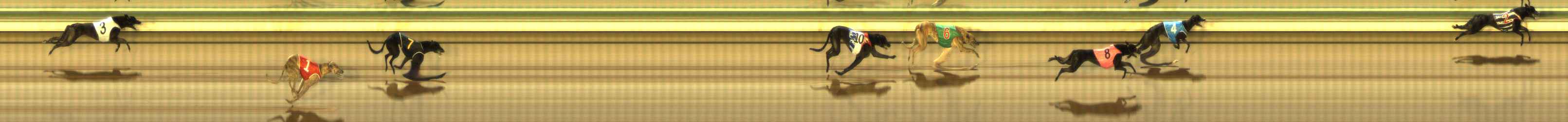 Photo finish for The Meadows Race 11