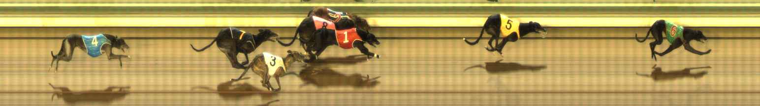 Photo finish for The Meadows Race 12