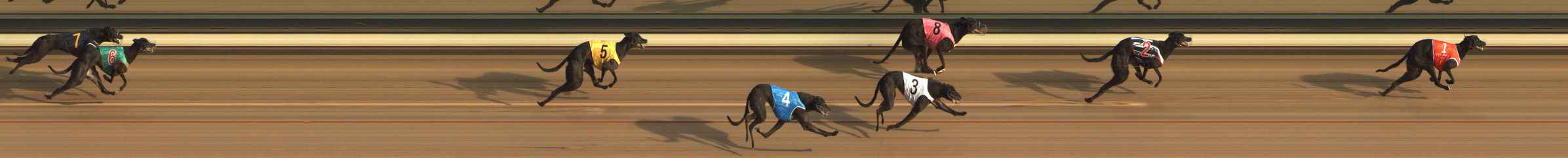Photo finish for The Meadows Race 1