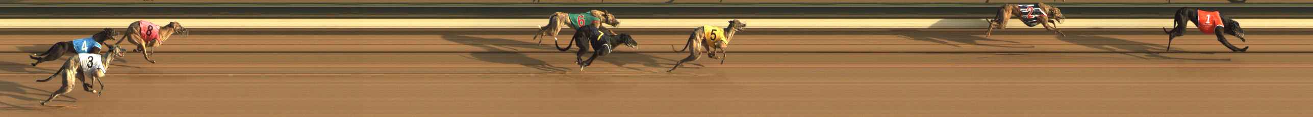 Photo finish for The Meadows Race 2