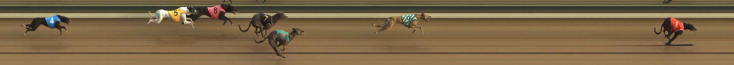Photo finish for The Meadows Race 3