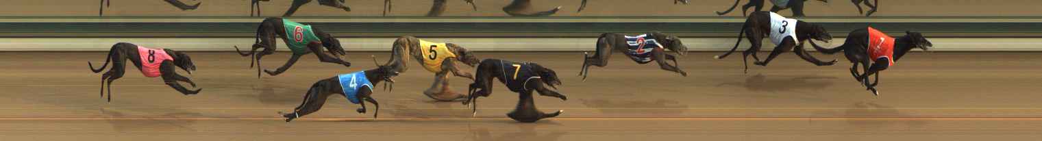 Photo finish for The Meadows Race 4
