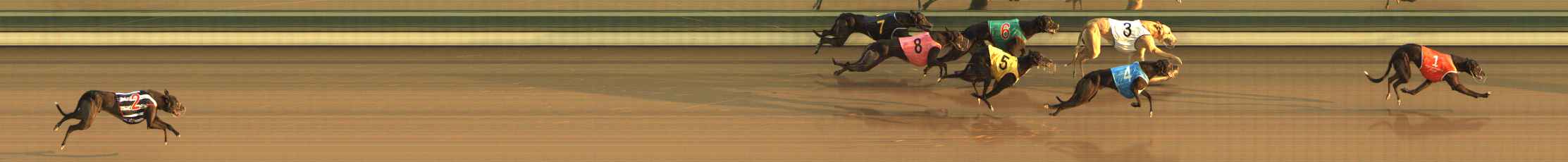 Photo finish for The Meadows Race 5