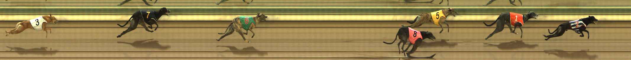Photo finish for The Meadows Race 6