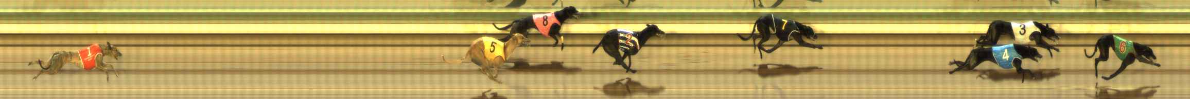Photo finish for The Meadows Race 7