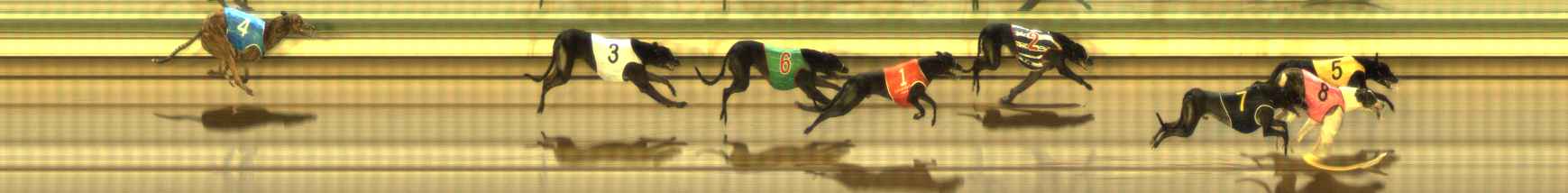 Photo finish for The Meadows Race 8