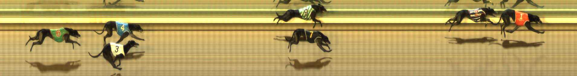Photo finish for The Meadows Race 9