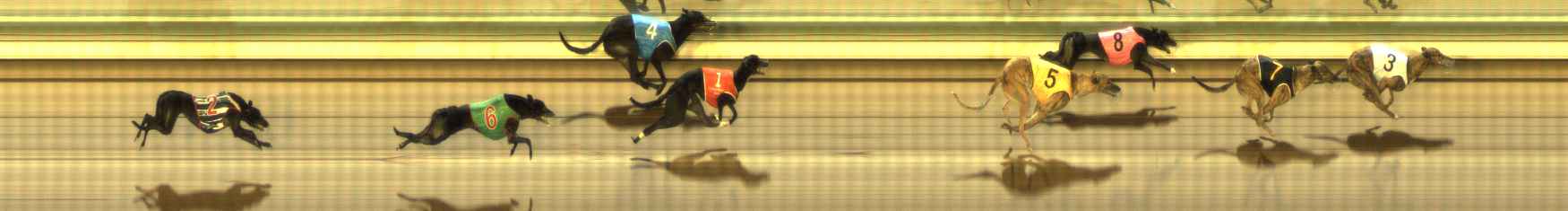 Photo finish for The Meadows Race 10