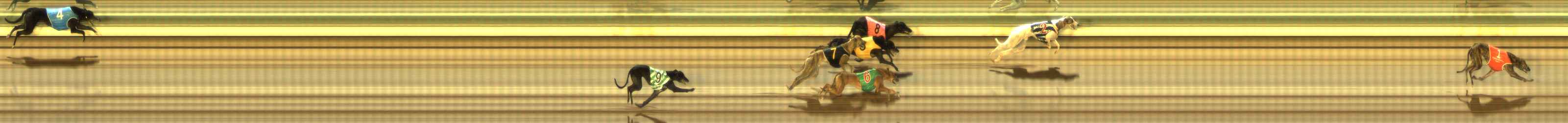 Photo finish for The Meadows Race 11