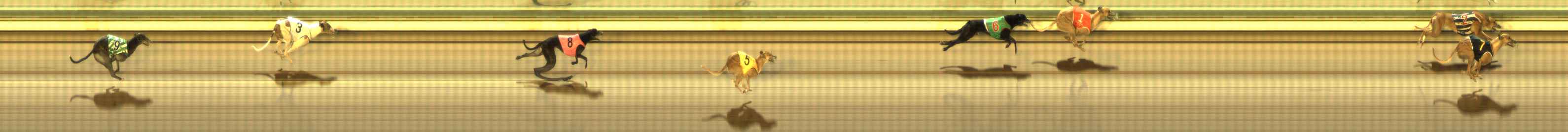 Photo finish for The Meadows Race 12