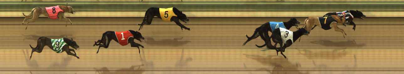 Photo finish for The Meadows Race 1