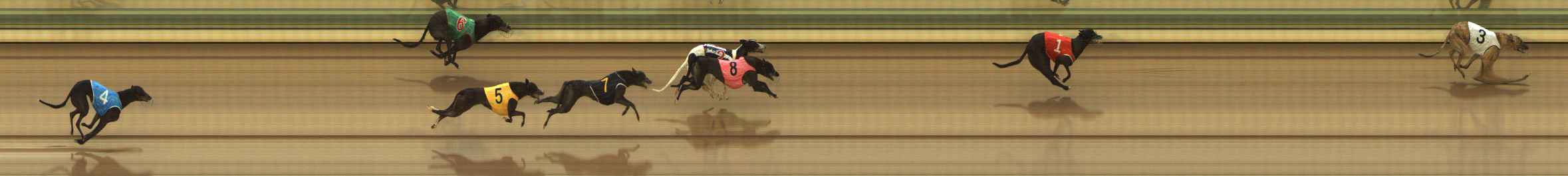 Photo finish for The Meadows Race 2