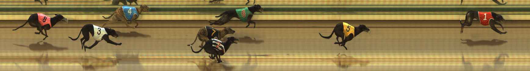 Photo finish for The Meadows Race 3