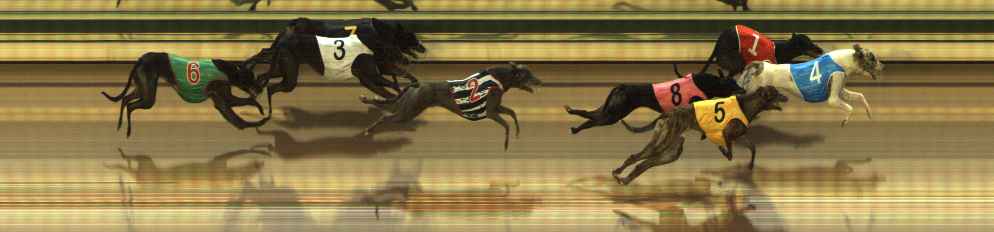 Photo finish for The Meadows Race 4