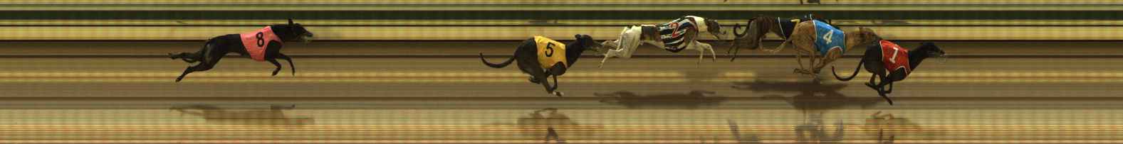 Photo finish for The Meadows Race 5