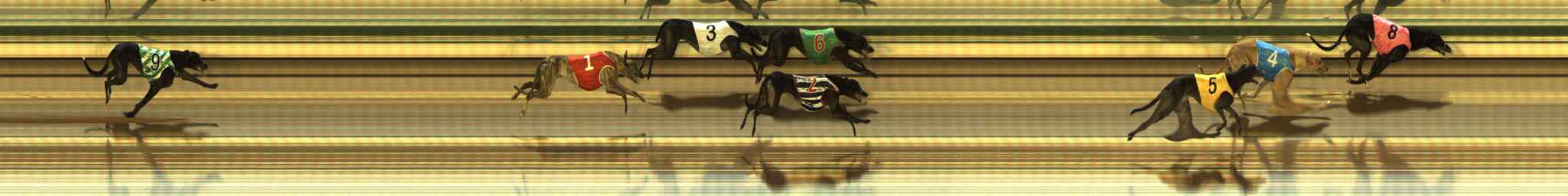 Photo finish for The Meadows Race 6