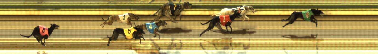 Photo finish for The Meadows Race 7