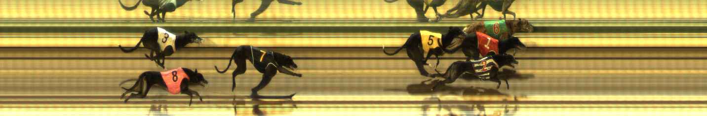 Photo finish for The Meadows Race 8