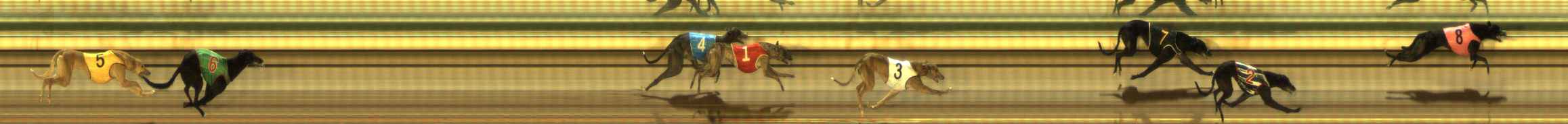 Photo finish for The Meadows Race 9