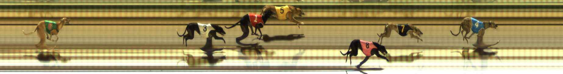 Photo finish for The Meadows Race 10