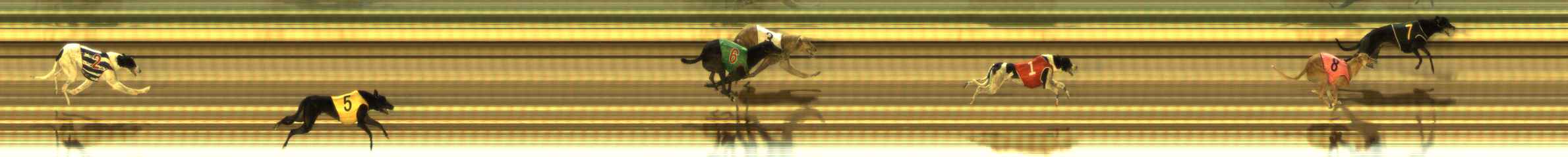 Photo finish for The Meadows Race 12