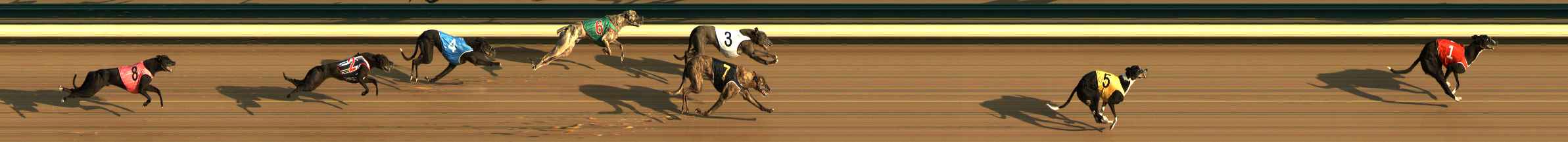 Photo finish for The Meadows Race 1