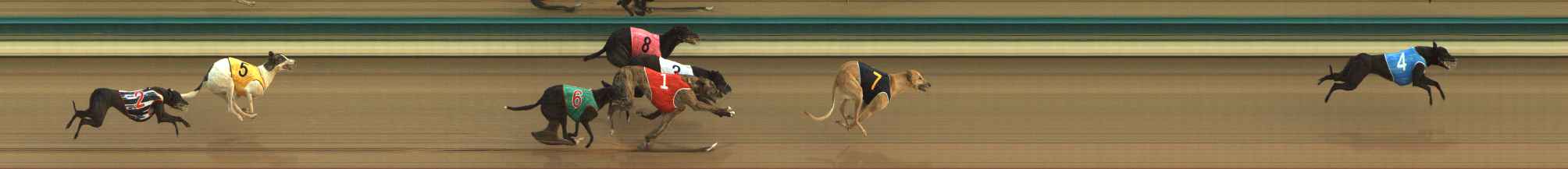 Photo finish for The Meadows Race 4