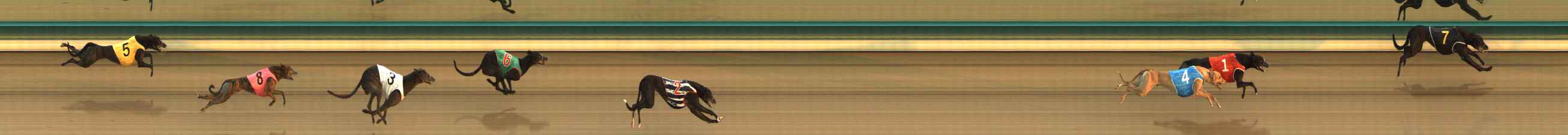 Photo finish for The Meadows Race 5