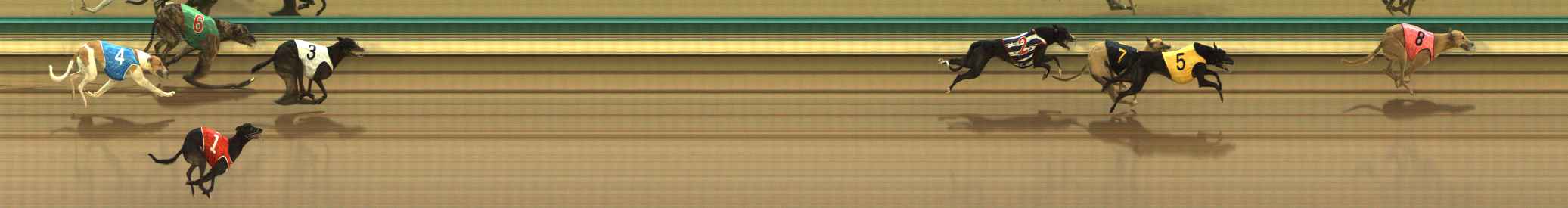 Photo finish for The Meadows Race 6