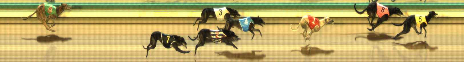 Photo finish for The Meadows Race 8