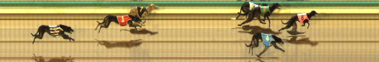 Photo finish for The Meadows Race 9