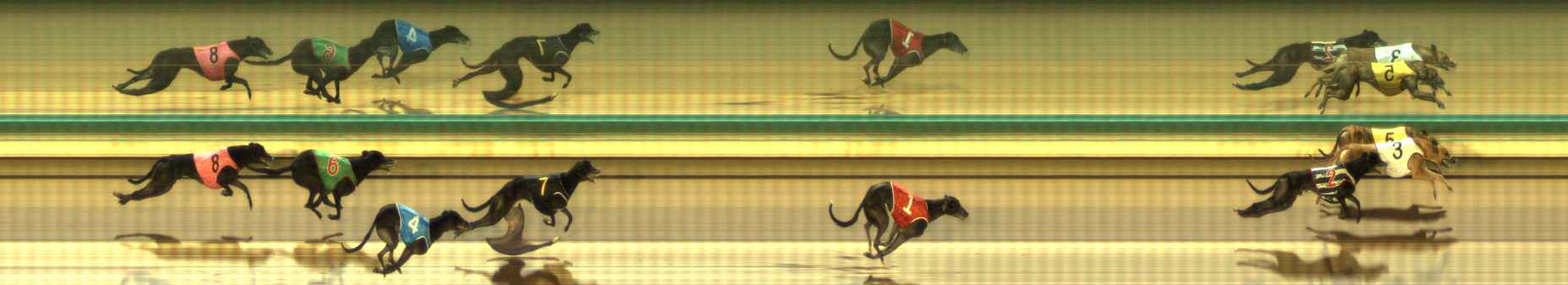 Photo finish for The Meadows Race 10