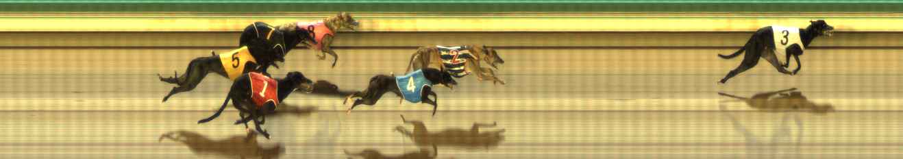 Photo finish for The Meadows Race 11