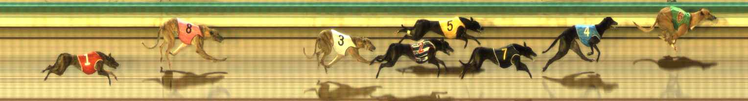 Photo finish for The Meadows Race 12