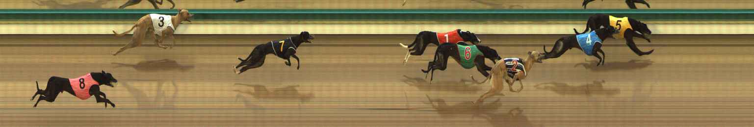 Photo finish for The Meadows Race 1