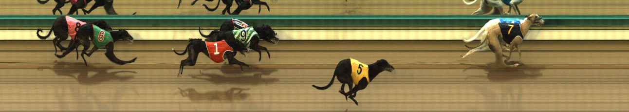 Photo finish for The Meadows Race 2