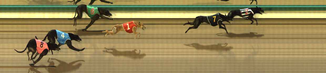 Photo finish for The Meadows Race 3