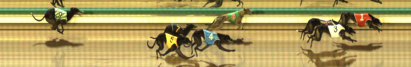 Photo finish for The Meadows Race 6