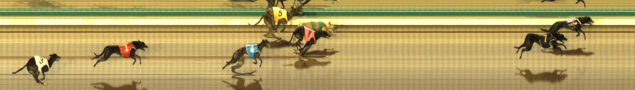 Photo finish for The Meadows Race 7