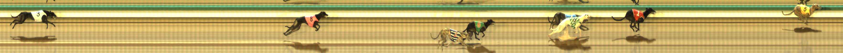 Photo finish for The Meadows Race 8
