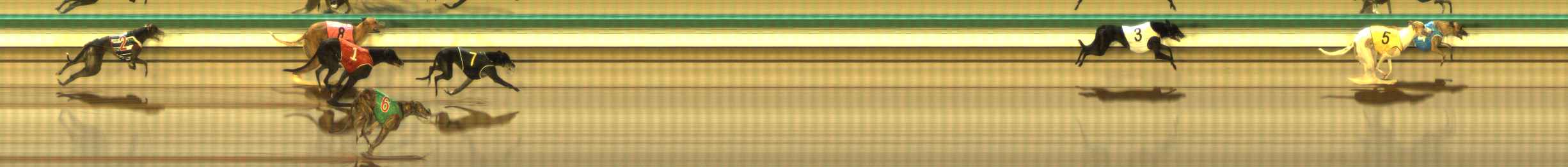 Photo finish for The Meadows Race 9